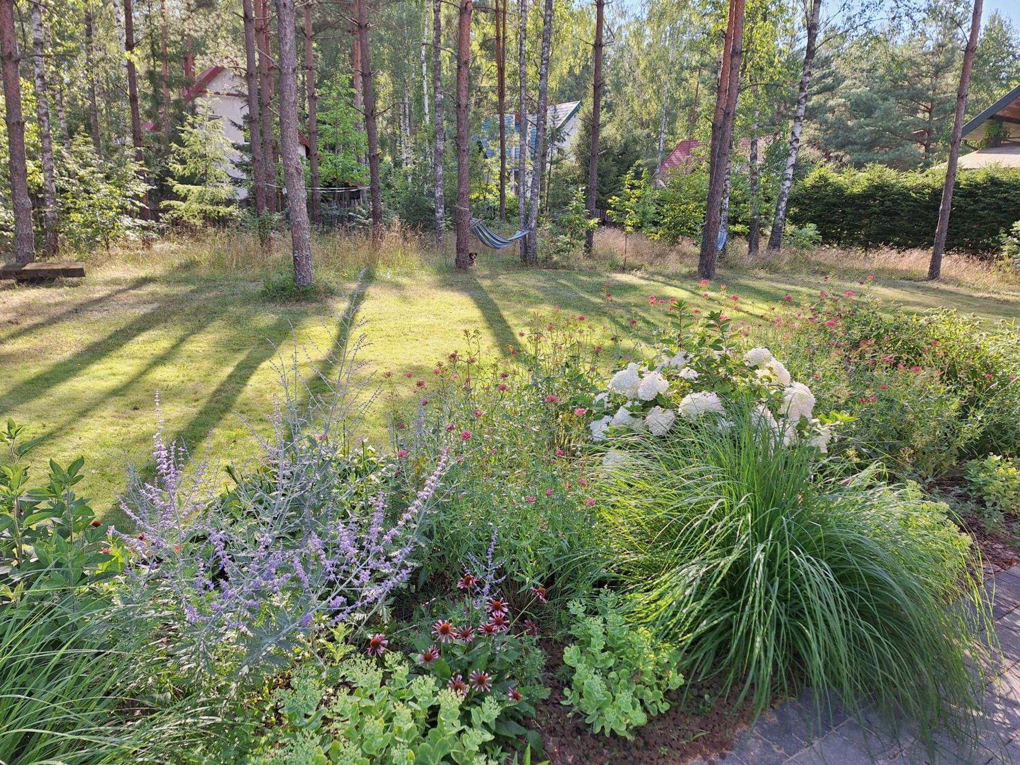Jezioro I Mazury Apartment Powalczyn