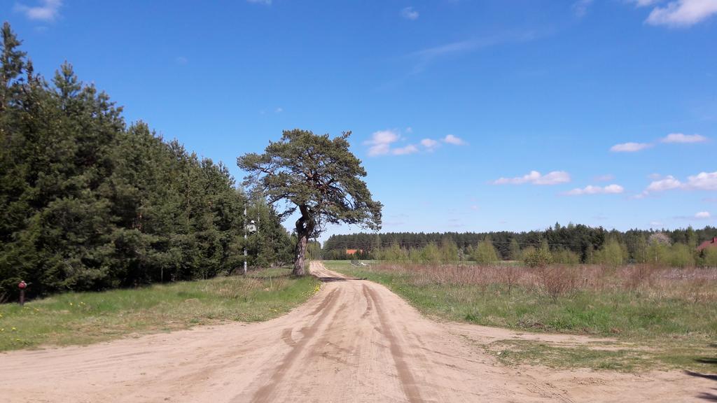 Jezioro I Mazury Apartment Powalczyn